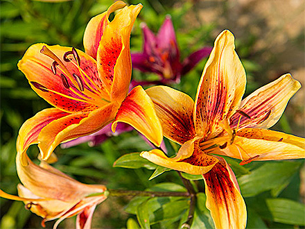 中欧登录入口产品展示八