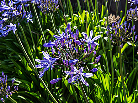 中欧登录入口客户案例一