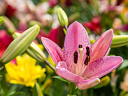 中欧登录入口产品展示二